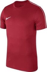 Meeste T-särk Nike, punane hind ja info | Jalgpalli varustus ja riided | kaup24.ee