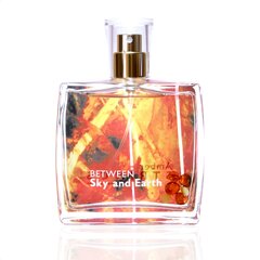 Парфюмированная вода с янтарем внутри Amber Strings Between Sky and Earth edp, 100 мл цена и информация | Мужские духи | kaup24.ee