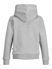 Детская толстовка JACK & JONES JUNIOR 12152841*01, светло-серая 5715100714164 цена и информация | Свитеры, жилетки, пиджаки для мальчиков | kaup24.ee