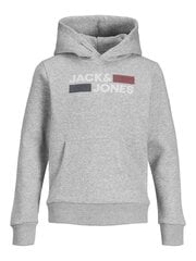 Детская толстовка JACK & JONES JUNIOR 12152841*01, светло-серая 5715100714164 цена и информация | Свитеры, жилетки, пиджаки для мальчиков | kaup24.ee