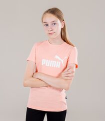 Детская футболка Puma 587029*26, белая 4063697162556 цена и информация | Рубашки для девочек | kaup24.ee