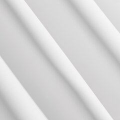 Pimendav kardin Parisa, valge, 135 x 270 cm, 1 tk hind ja info | Kardinad | kaup24.ee