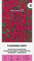 Nurmnelk Flashing light hind ja info | Lilleseemned | kaup24.ee