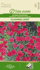 Nurmnelk Flashing light цена и информация | Семена цветов | kaup24.ee