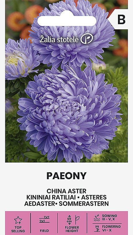Hiina aster Paeony, lilla hind ja info | Lilleseemned | kaup24.ee
