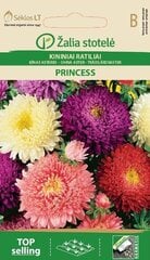Астры Princess цена и информация | Семена цветов | kaup24.ee