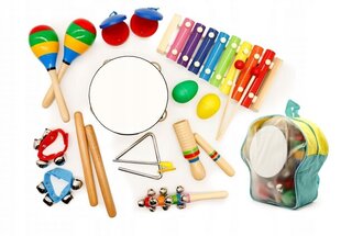Ecotoys mängu muusikakomplekt ja kott hind ja info | Imikute mänguasjad | kaup24.ee