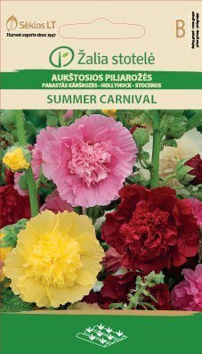 Kõrge tokkroos Summer carnival hind ja info | Lilleseemned | kaup24.ee