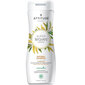 Attitude Super Leaves Clarifying šampoon 473 ml hind ja info | Šampoonid | kaup24.ee