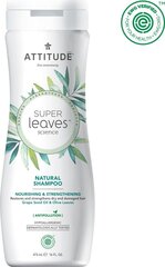 Attitude Super Leaves Nourishing & Strengthening  - Укрепляющий шампунь для сухих волос 473 ml цена и информация | Шампуни | kaup24.ee