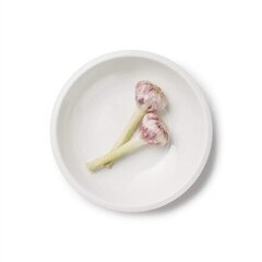 Iittala Raami kauss 22 см белый цена и информация | Посуда, тарелки, обеденные сервизы | kaup24.ee