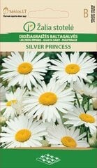 Пиретрум Silver Princess цена и информация | Зайцехвост яйцевидный | kaup24.ee