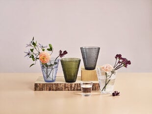 Iittala Kastehelmi vaas 15.4 cm hind ja info | Vaasid | kaup24.ee