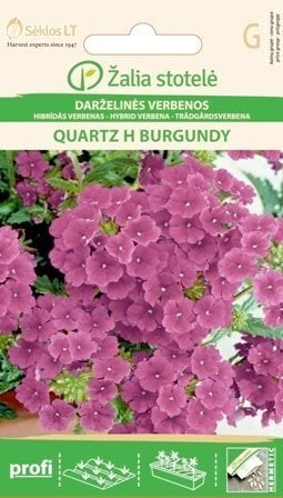 Aed-raudürt Quartz H Burgundy hind ja info | Lilleseemned | kaup24.ee