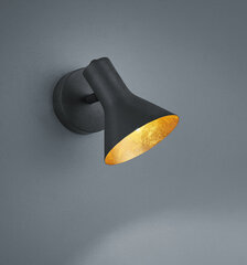 Точечный светильник (спот) Nina 1 лампа 1xE14 цена и информация | Настенные светильники | kaup24.ee