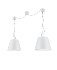 Подвесной светильник Andreus 2хЕ27, матовый белый/серебристый 920012493 цена и информация | Люстры | kaup24.ee