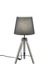 Настольный светильник Tripod Е27, серый цена и информация | Настольная лампа | kaup24.ee