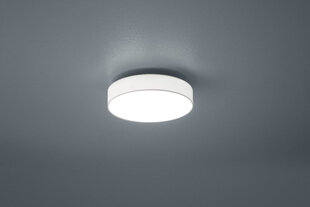 Led laevalgusti Lugano, 30 cm, valge 920021930 hind ja info | Laelambid | kaup24.ee