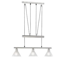 Trio подвесной светильник Stamina цена и информация | Потолочный светильник, 38 x 38 x 24 см | kaup24.ee