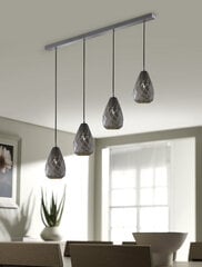 Trio подвесной светильник Onyx цена и информация | Потолочный светильник, 38 x 38 x 24 см | kaup24.ee