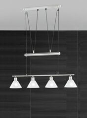 Trio подвесной светильник Stamina цена и информация | Потолочный светильник, 38 x 38 x 24 см | kaup24.ee