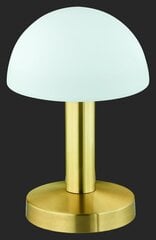 Настольная лампа Fynn, 21 см, 1xE14, латунь цена и информация | Настольные лампы | kaup24.ee