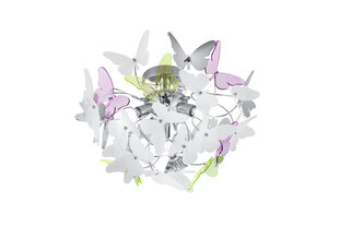 Trio потолочный светильник Butterfly цена и информация | Потолочные светильники | kaup24.ee
