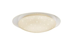 Led laevalgusti Frodo, 48 cm, starlight valge 920051875 цена и информация | Потолочные светильники | kaup24.ee