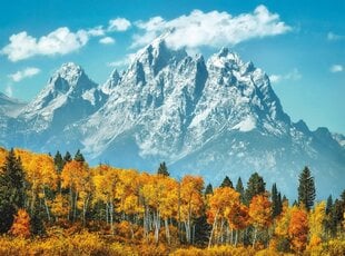 Пазл Clementoni High Quality Grand Teton In Fall, 35034, 500 д. цена и информация | Пазлы | kaup24.ee