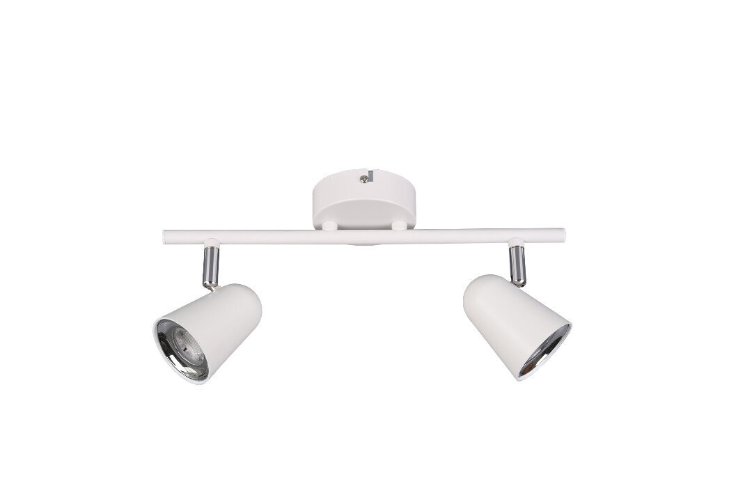 Toulouse LED kohtvalgusti 2-os. valge sis 2x3,5 W 400 lm hind ja info | Laelambid | kaup24.ee