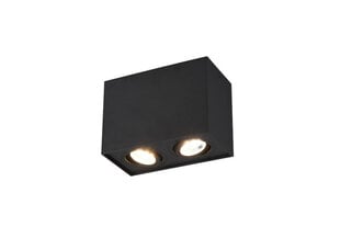 Biscuit LED lae kohtvalgusti 1-os. 2XGU10 mustmatt hind ja info | Laelambid | kaup24.ee