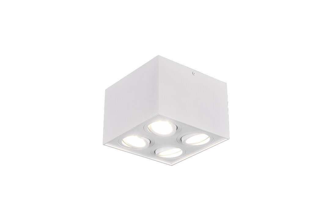 Biscuit LED lae kohtvalgusti 1-os. 4XGU10 valgematt hind ja info | Laelambid | kaup24.ee