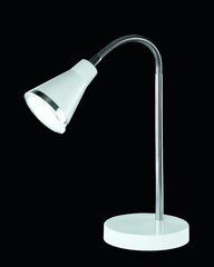 Настольная лампа Arras светодиодная белая цена и информация | Настольная лампа | kaup24.ee