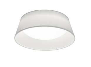 LED-plafoon Ponts, 34 cm, valge hind ja info | Laelambid | kaup24.ee