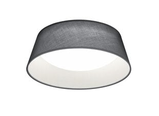 Потолочный светильник Ponts LED, 34 см, серый цена и информация | Потолочные светильники | kaup24.ee