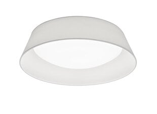 LED-plafoon Ponts, 45 cm, valge цена и информация | Потолочные светильники | kaup24.ee