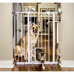 Защитная перегородка для домашних питомцев Carlson Pet Products цена и информация | Переноски, сумки | kaup24.ee