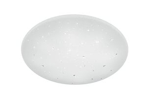 Led plafoonvalgusti Achat, 60 cm, starlight цена и информация | Потолочные светильники | kaup24.ee