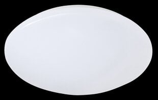 Led plafoonvalgusti Putz II, 27 cm цена и информация | Потолочные светильники | kaup24.ee