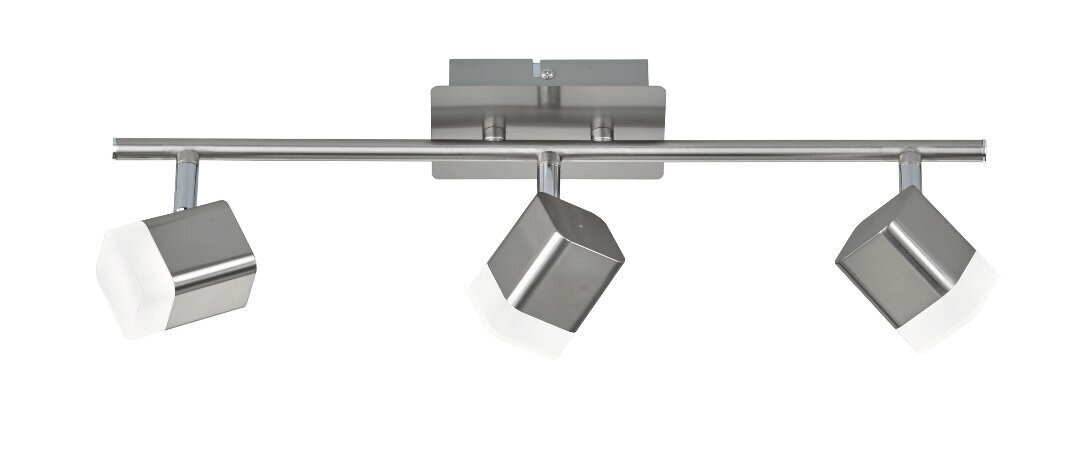 Led kohtvalgusti Roubaix, 3-osaline, harjatud teras цена и информация | Laelambid | kaup24.ee