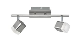 Led kohtvalgusti Roubaix, 2-osaline, harjatud teras цена и информация | Потолочные светильники | kaup24.ee