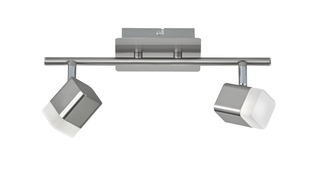 Led kohtvalgusti Roubaix, 2-osaline, harjatud teras цена и информация | Laelambid | kaup24.ee