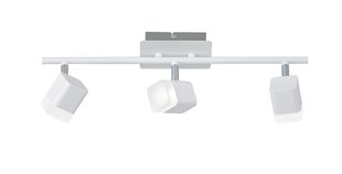 Trio светодиодный потолочный светильник Roubaix цена и информация | Потолочные светильники | kaup24.ee