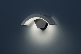 Настенный светильник Harlen LED, антрацит цена и информация | Уличное освещение | kaup24.ee