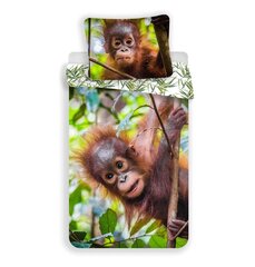 Voodipesukomplekt Orangutan, 140 x 200 cm + padjapüür 70 x 90 cm hind ja info | Voodipesu | kaup24.ee