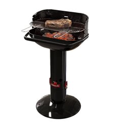 Barbecook söegrill LOEWY 55 (1009) цена и информация | Грили | kaup24.ee