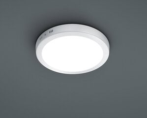 Cento LED plafoon 22 cm valge цена и информация | Потолочные светильники | kaup24.ee