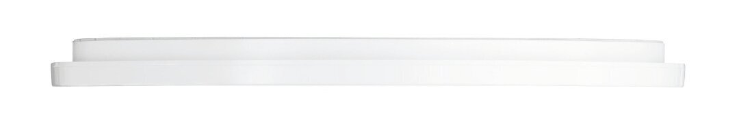 Camillus LED plafoon 40 cm valge IP44 цена и информация | Laelambid | kaup24.ee