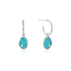 Ania Haie hõbekõrvarõngad Turquoise mini 901028191 цена и информация | Серьги | kaup24.ee