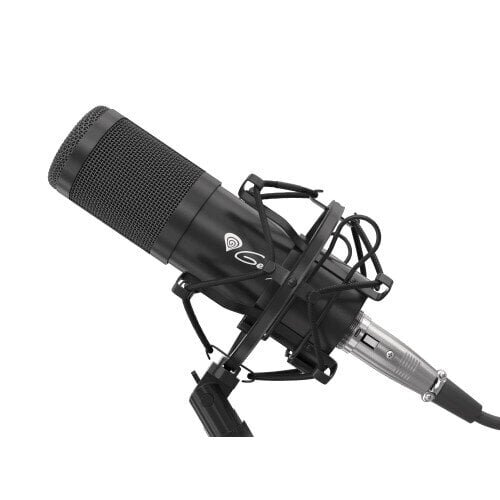 Mikrofon Genesis Gaming Radium 300 Bla цена и информация | Mikrofonid | kaup24.ee